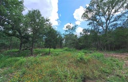1014 Beaver Lake Dr, Caldwell, TX 77836