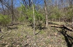 Bower Hill Road, Upper St Clair, PA 15241