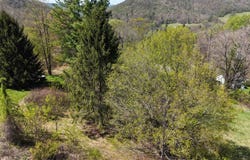 KLONDIKE RD, WARM SPRINGS, VA 24484