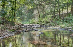 312 Windy Ridge Lane, Climax Springs, MO 65324