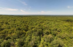 Cox Road, Brandon, NY 12966