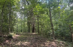 Hickey Road, Franklin, GA 30217