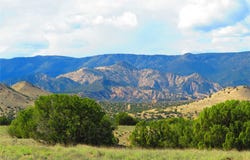 County Rd 142 lot: 34, Medanales, NM 87548