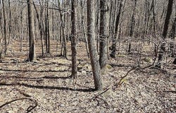 Eagle Pass 711, Swiftwater, PA 18370
