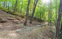 El Monte - Lot 2, Branson, MO 65616