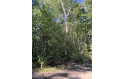 V/L S Pershing Road, Baldwin, MI 49304