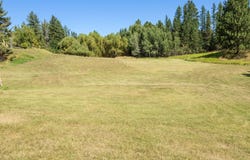 1037 Park Avenue, Whitefish, MT 59937