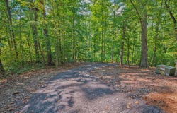 279 Mavericks Run, Martin, GA 30557