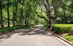 1080 Deleisseline Boulevard, Mount Pleasant, SC 29464