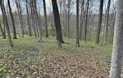 Windsor Road, Bridgeport, WV 26330