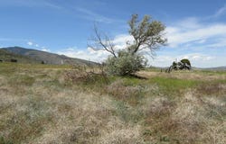 143 Southfork Rd, Cody, WY 82414