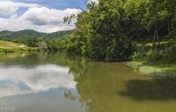 150 Ac Big Springs Road, Eidson, TN 37731