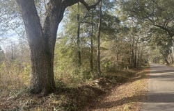 1 Old Jacksonboro Road, Ravenel, SC 29470