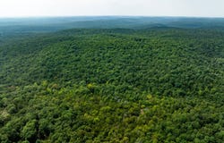 Acorn Rd, Ravenden, AR 72459