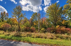 Rutsonville Road, Wallkill, NY 12589