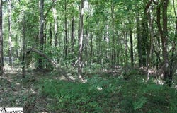 Sam Drive lot: C Sam Drive, Belton, SC 29627