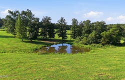 Deer Lodge, TN 37726