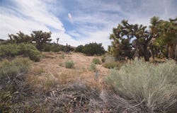 Longview & Old Homestead, Juniper Hills, CA 93543