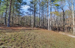 US 27, Sunbright, TN 37872