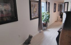 11838 ADORING WAY, Von Ormy, TX 78073