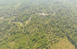 Camanche Road, Ragley, LA 70657