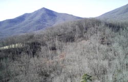 Meadors Mill Road, Bedford, VA 24523