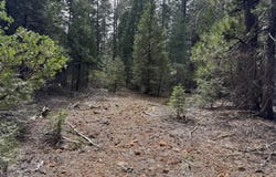Westward Ho Road, Shingletown, CA 96088