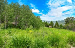 Green Canyon Rd, Inkom, ID 83245