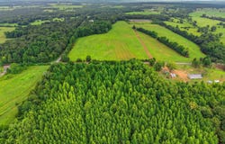 Black Hill Rd., Damascus, AR 72054