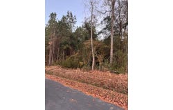 9680 Clash Lane, Lynchburg, SC 29080