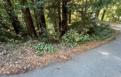11085 Riverside RD, BROOKDALE, CA 95007