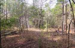 Burrage Rd, Enterprise, MS 39330