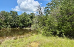 FM 39, Groesbeck, TX 76642