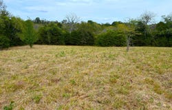 State Highway 86 Tract 5, Eagle Rock, MO 65641