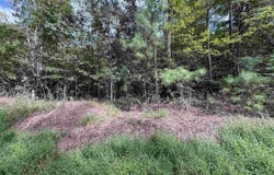 ROBIN LANE lot: 0, DELTA, AL 36258