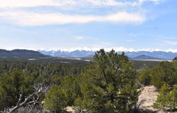 346 Buffalo Bill Rd, Cotopaxi, CO 81223