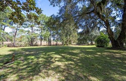 Whitehall Ave. lot: 5, Georgetown, SC 29440