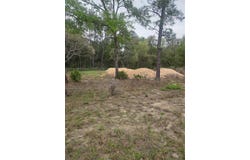 127 SEQUOIA Trail, OCKLAWAHA, FL 32179