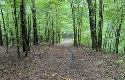 Meredith Road, Collinsville, MS 39325