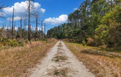 SW 123rd Ct, Cedar Key, FL 32625