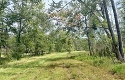 30 Mississippi 310, Como, MS 38619