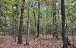 W 16th St., Smackover, AR 71762