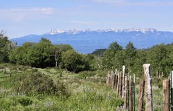 12951 MS Road, Glade Park, CO 81522