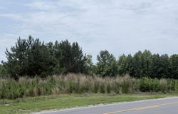 Jewett E Avenue lot: 1-20, Bunn, NC 27508