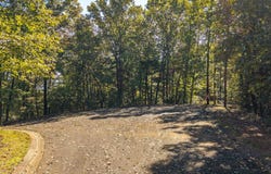 Abbott Mill Road lot: 22,23,0, Ellijay, GA 30540