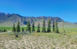 3925 W 4300 N, Mackay, ID 83251