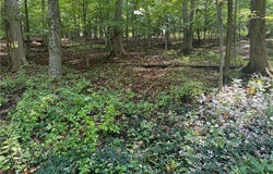 4 Nob Road, Utica, NY 13501