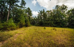 County Road 428, PARIS, MS 38949