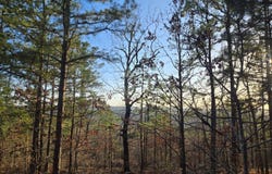 81 ABCD Flat Top Trail, Moyers, OK 74557