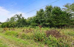 Galena, MO 65656